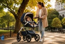Parent pushing a navy and cream baby stroller with a child in a parent-facing seat along a sunlit tree-lined park pathway during golden hour.