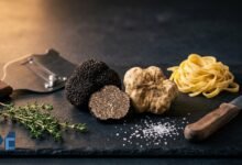 Black Périgord truffle and white Alba truffle displayed with fresh pasta and a truffle shaver.